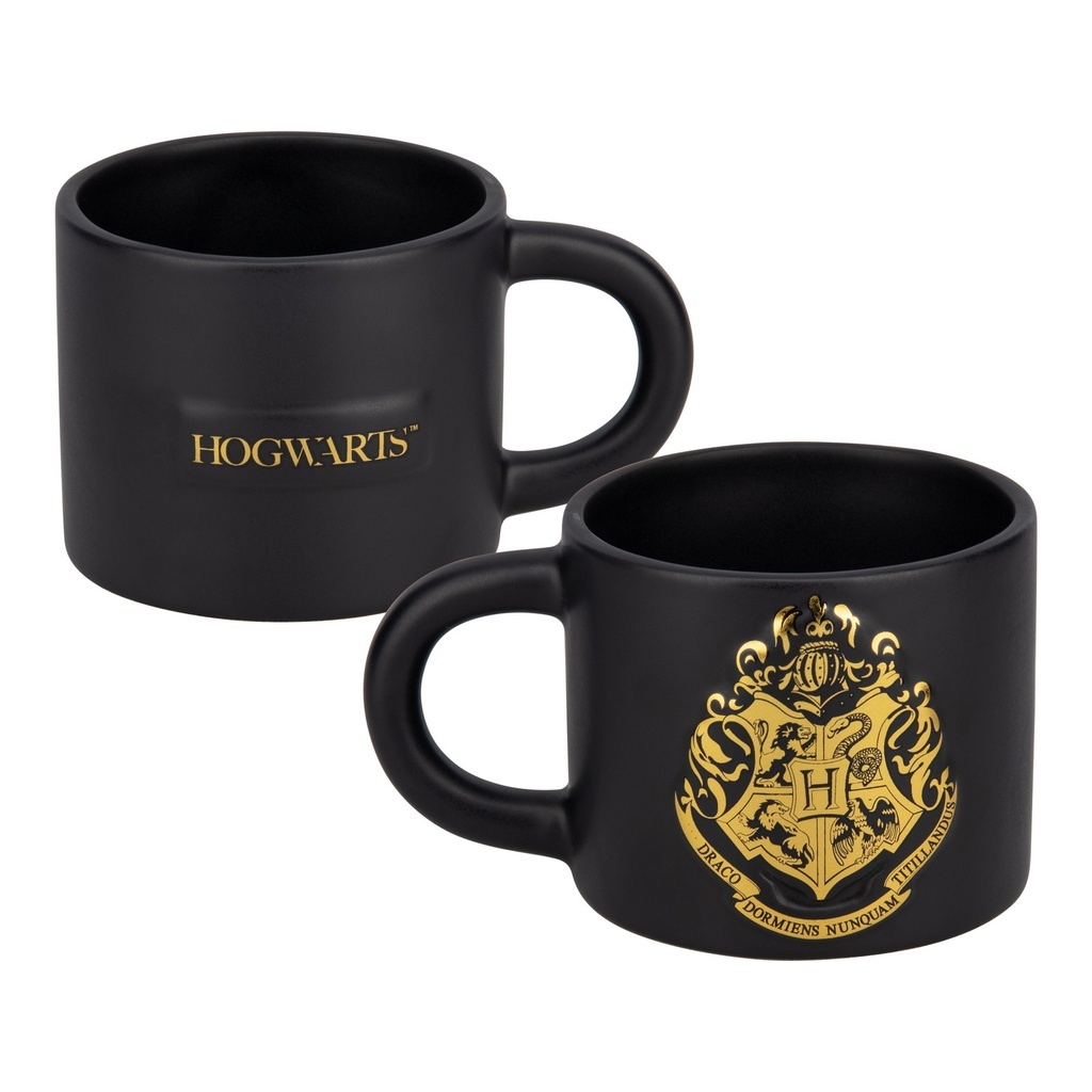 HARRY POTTER - Mug Gravé 400ml 