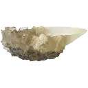 FIGNN1009_3.webp