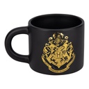 HARRY POTTER - Mug Gravé 400ml 
